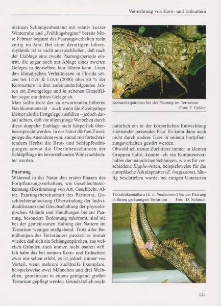 Preview: Kornnattern und Erdnattern